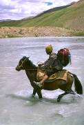horseman